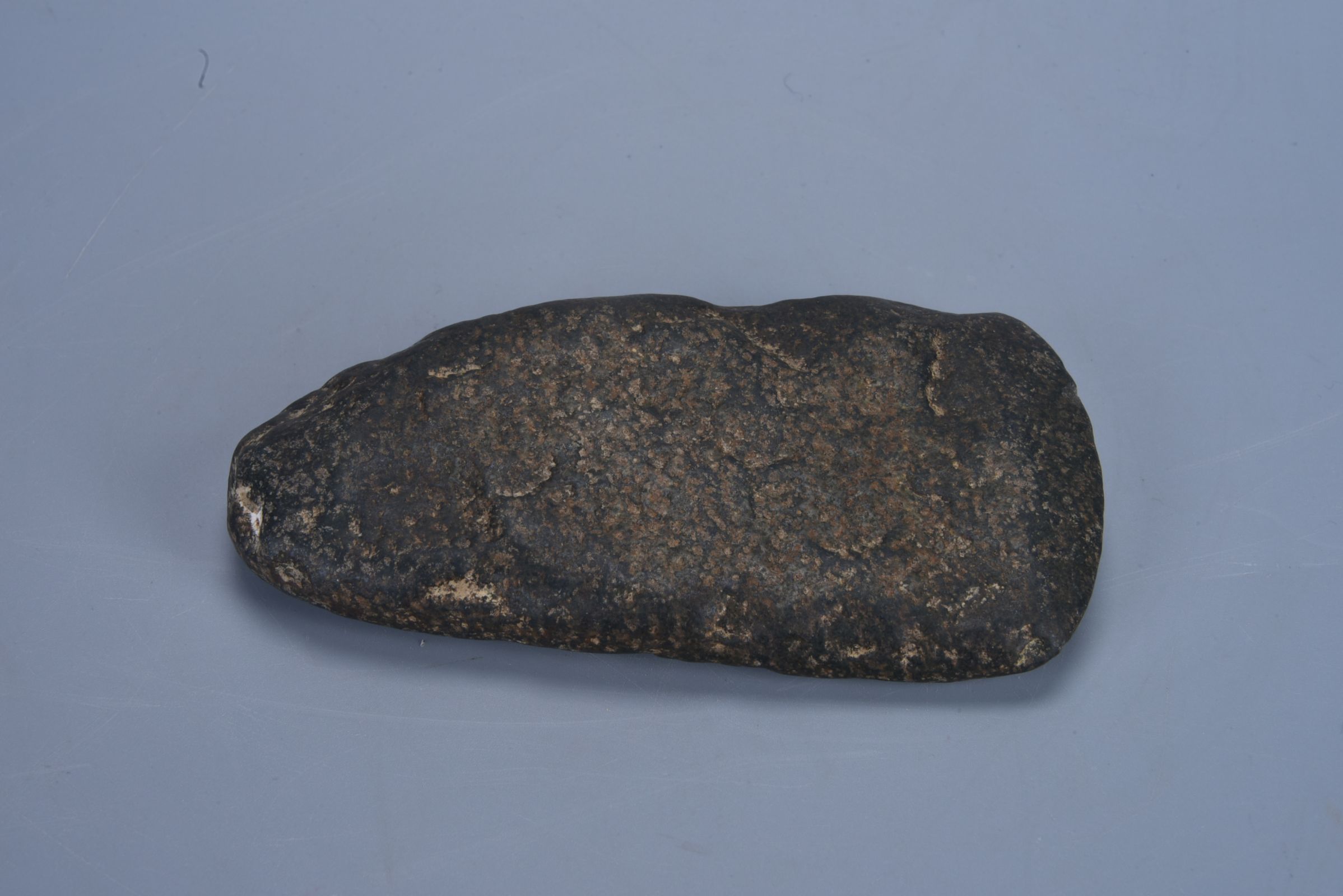 新石器时代 牛牙化石-典藏--桂林博物馆